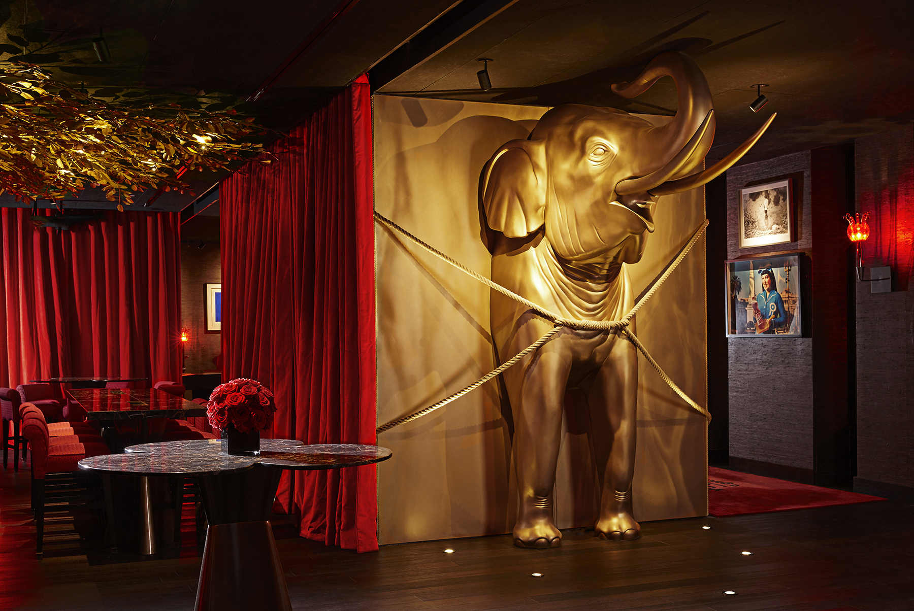 The Vagabond Club elephant elevator